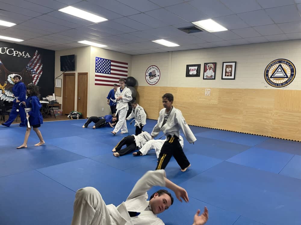 Patriot Martial Arts Self Defense 