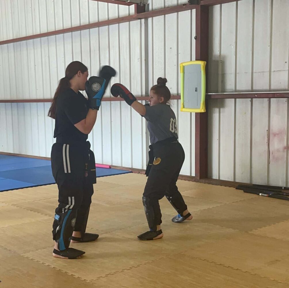 Patriot Martial Arts Self Defense Alpha Krav Maga